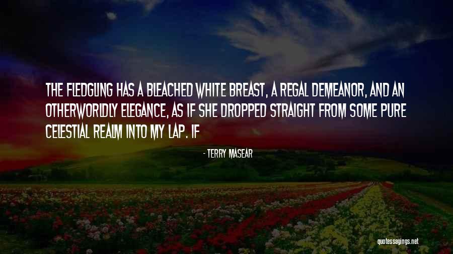 Fledgling Quotes By Terry Masear Fledgling Quotes By Terry Masear