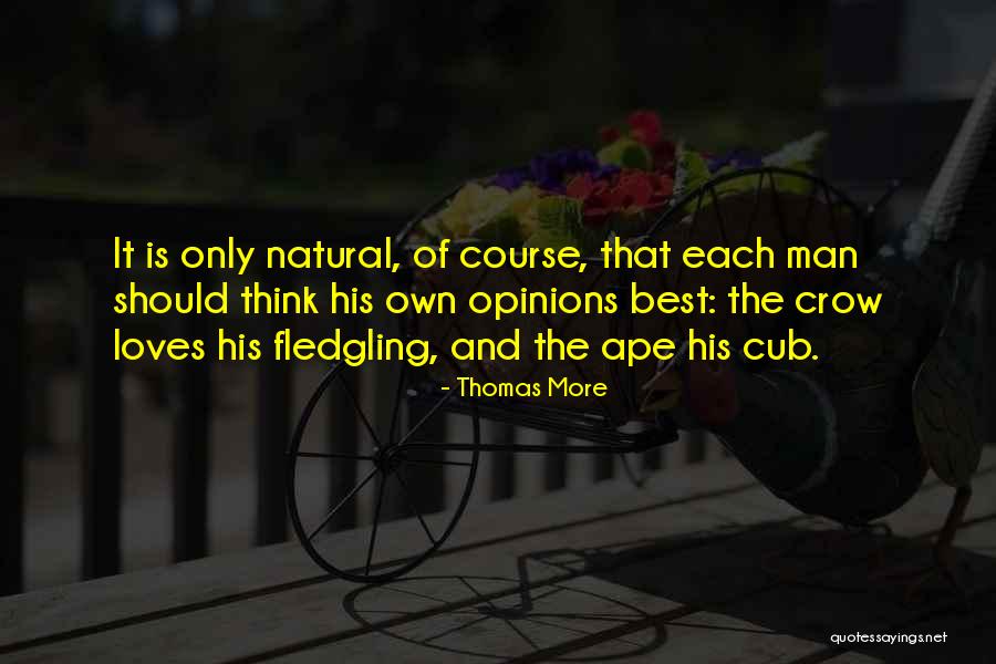 Fledgling Quotes By Thomas More Fledgling Quotes By Thomas More