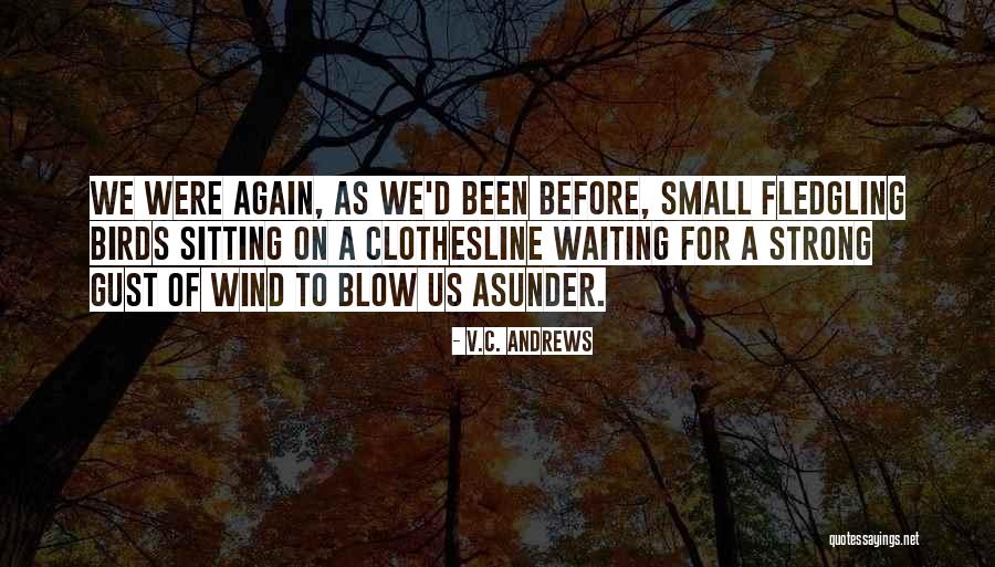 Fledgling Quotes By V.C. Andrews Fledgling Quotes By V.C. Andrews