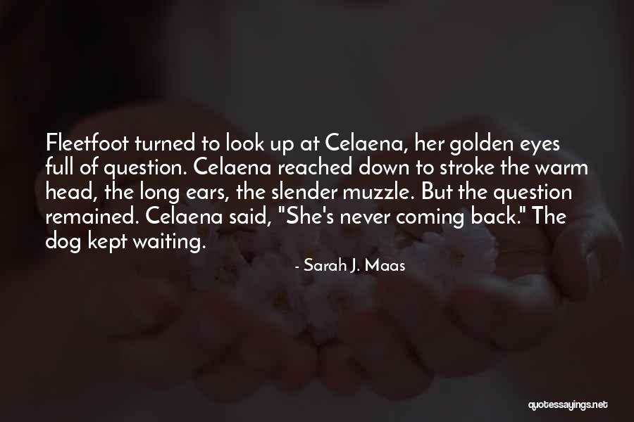 Fleetfoot Quotes By Sarah J. Maas Fleetfoot Quotes By Sarah J. Maas