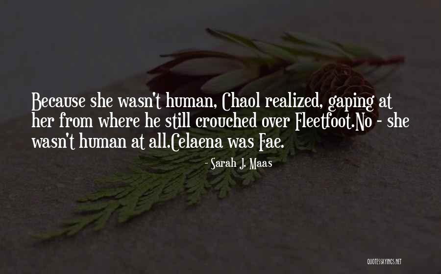 Fleetfoot Quotes By Sarah J. Maas Fleetfoot Quotes By Sarah J. Maas