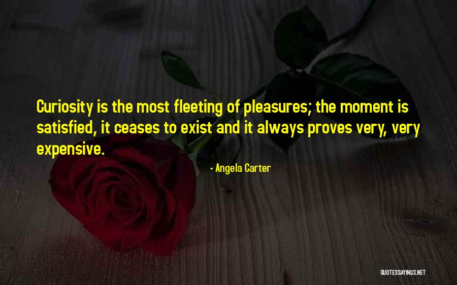 Fleeting Pleasures Quotes By Angela Carter