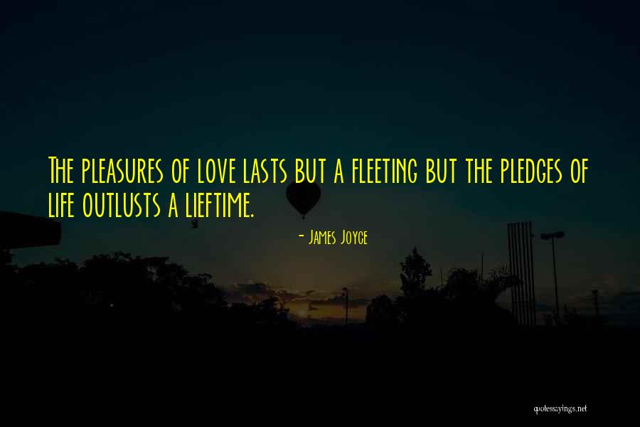 Fleeting Pleasures Quotes By James Joyce