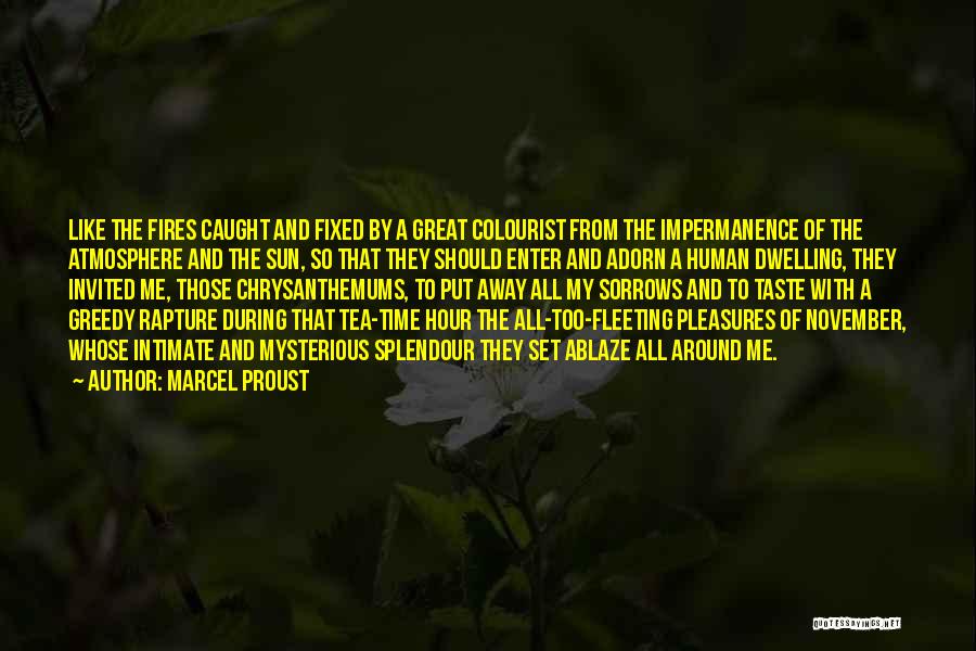 Fleeting Quotes By Marcel Proust