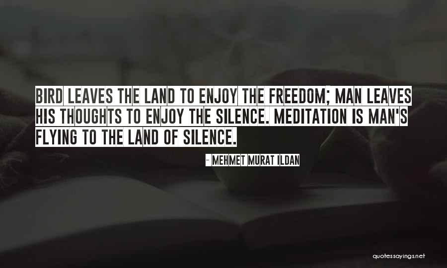 Fleitas Pllc Quotes By Mehmet Murat Ildan Fleitas Pllc Quotes By Mehmet Murat Ildan