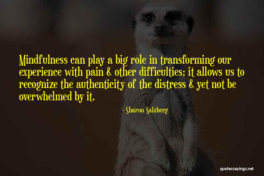 Flensborgarsk Li Quotes By Sharon Salzberg Flensborgarsk Li Quotes By Sharon Salzberg