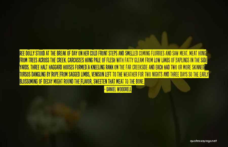 Flesh And Bone Quotes By Daniel Woodrell Flesh And Bone Quotes By Daniel Woodrell