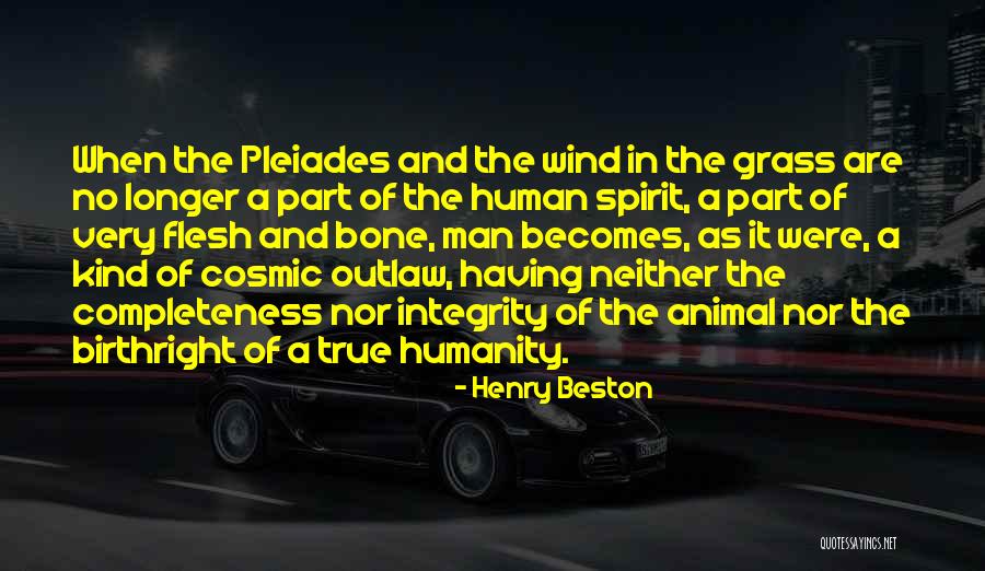 Flesh And Bone Quotes By Henry Beston Flesh And Bone Quotes By Henry Beston