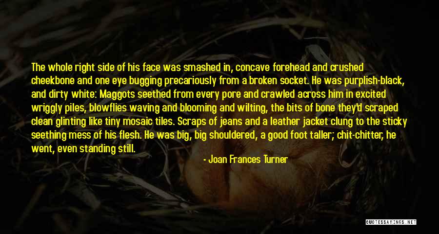 Flesh And Bone Quotes By Joan Frances Turner Flesh And Bone Quotes By Joan Frances Turner