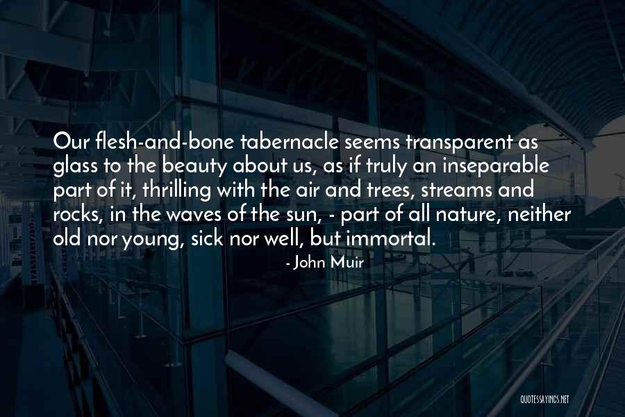 Flesh And Bone Quotes By John Muir Flesh And Bone Quotes By John Muir