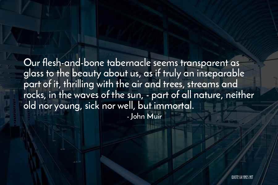 Flesh And Bone Quotes By John Muir