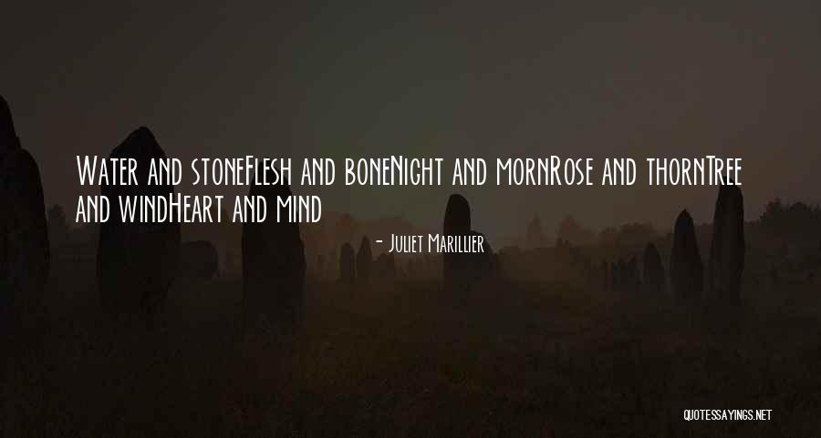 Flesh And Bone Quotes By Juliet Marillier Flesh And Bone Quotes By Juliet Marillier