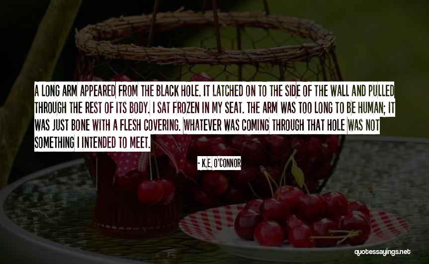 Flesh And Bone Quotes By K.E. O'Connor