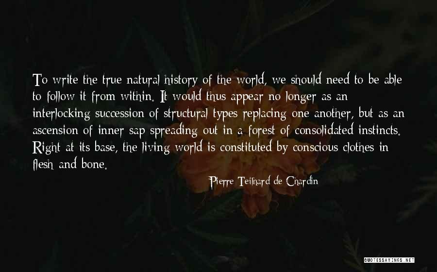Flesh And Bone Quotes By Pierre Teilhard De Chardin Flesh And Bone Quotes By Pierre Teilhard De Chardin