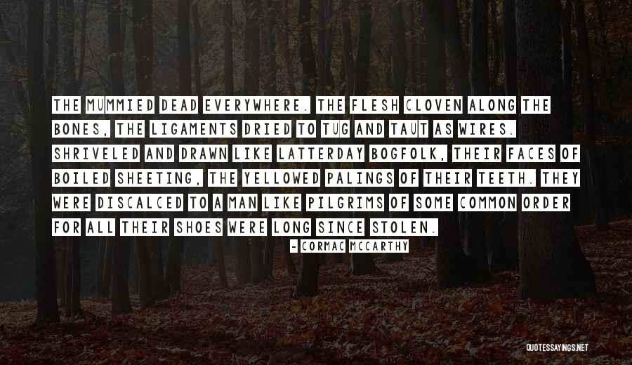 Flesh And Bones Quotes By Cormac McCarthy Flesh And Bones Quotes By Cormac McCarthy