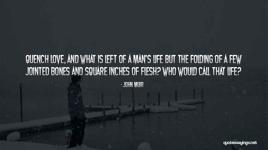 Flesh And Bones Quotes By John Muir Flesh And Bones Quotes By John Muir