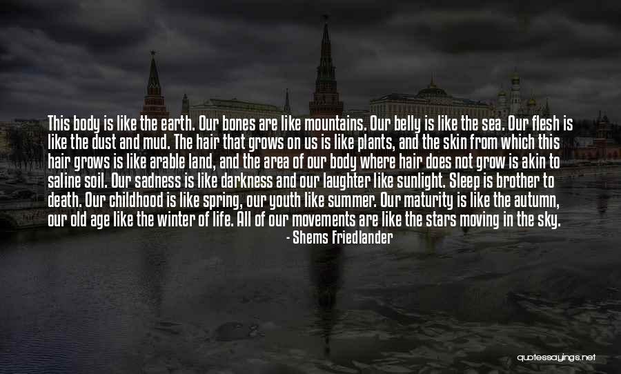 Flesh And Bones Quotes By Shems Friedlander Flesh And Bones Quotes By Shems Friedlander