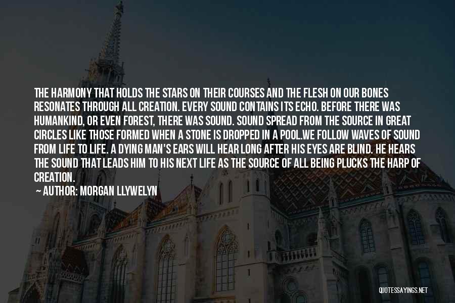 Flesh And Stone Quotes By Morgan Llywelyn