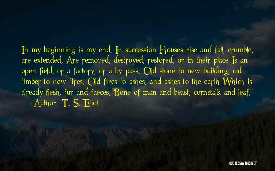 Flesh And Stone Quotes By T. S. Eliot