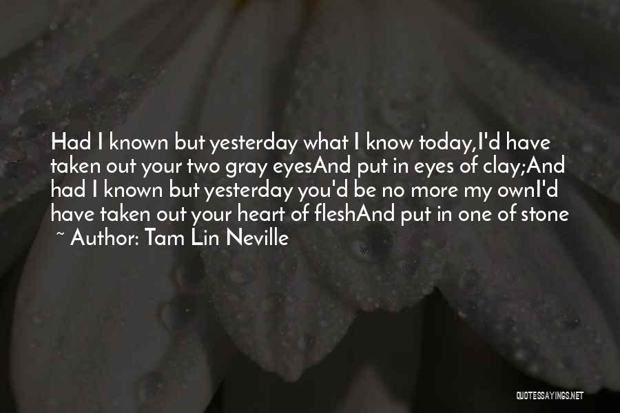 Flesh And Stone Quotes By Tam Lin Neville