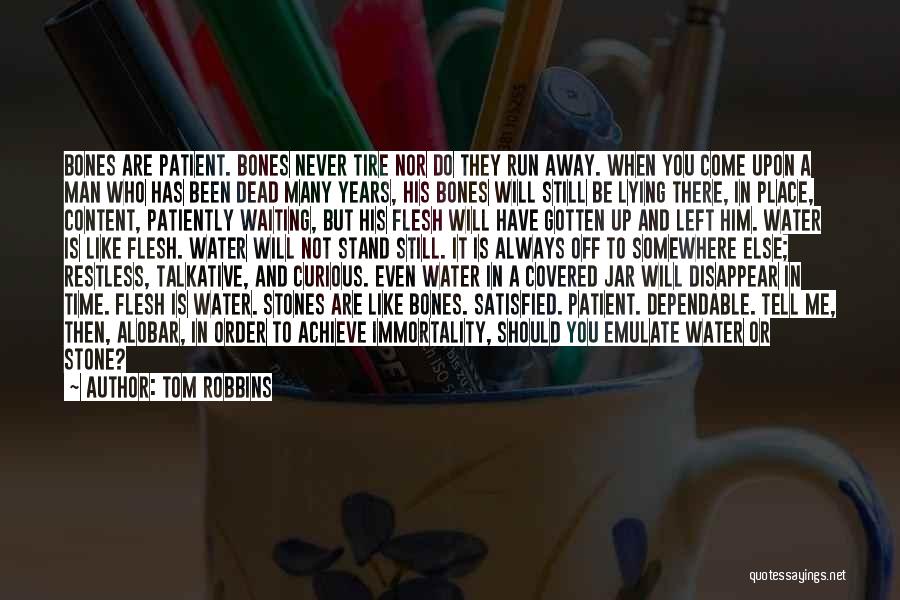 Flesh And Stone Quotes By Tom Robbins