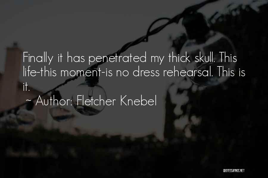 Fletcher Knebel Quotes 1614360