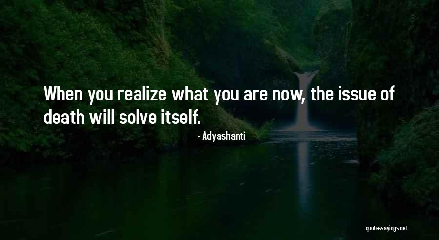 Flethchling Quotes By Adyashanti Flethchling Quotes By Adyashanti