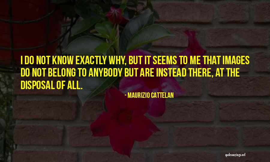 Fleurie Quotes By Maurizio Cattelan Fleurie Quotes By Maurizio Cattelan