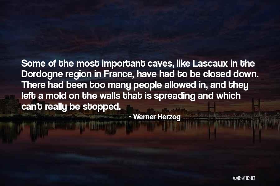 Fleuve Amour Quotes By Werner Herzog Fleuve Amour Quotes By Werner Herzog