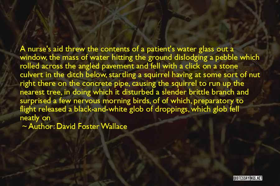 Flew Away Quotes By David Foster Wallace