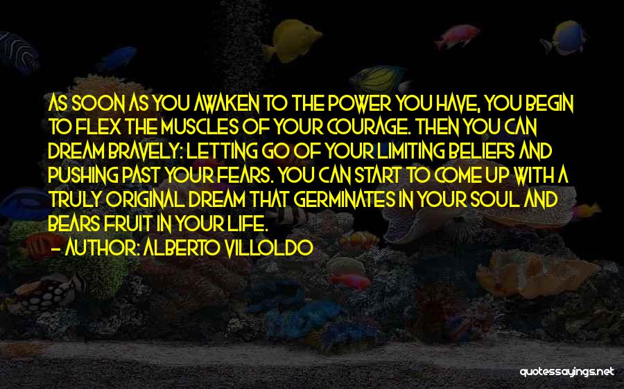 Flex Quotes By Alberto Villoldo