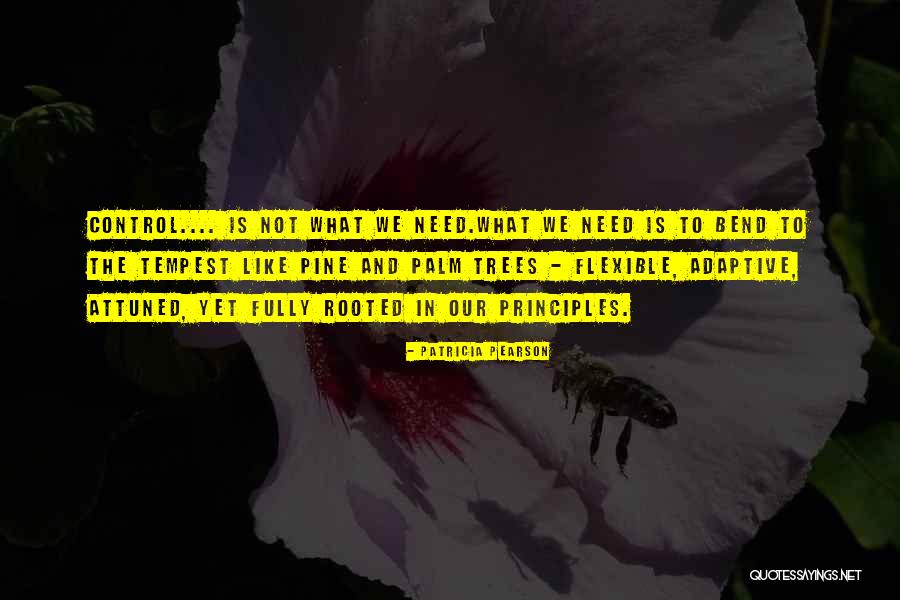Flexibiity Quotes By Patricia Pearson Flexibiity Quotes By Patricia Pearson