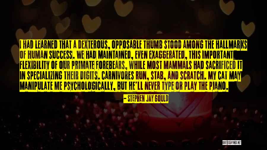 Flexibility And Success Quotes By Stephen Jay Gould Flexibility And Success Quotes By Stephen Jay Gould