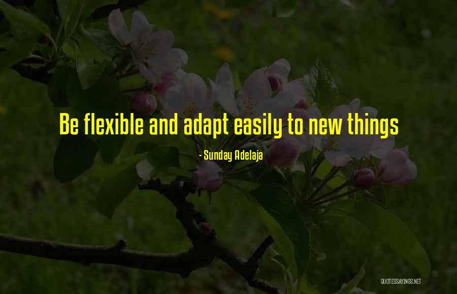 Flexibility In Work Quotes By Sunday Adelaja Flexibility In Work Quotes By Sunday Adelaja