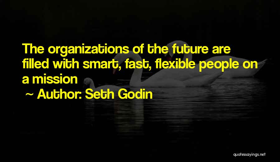 Flexible Quotes By Seth Godin