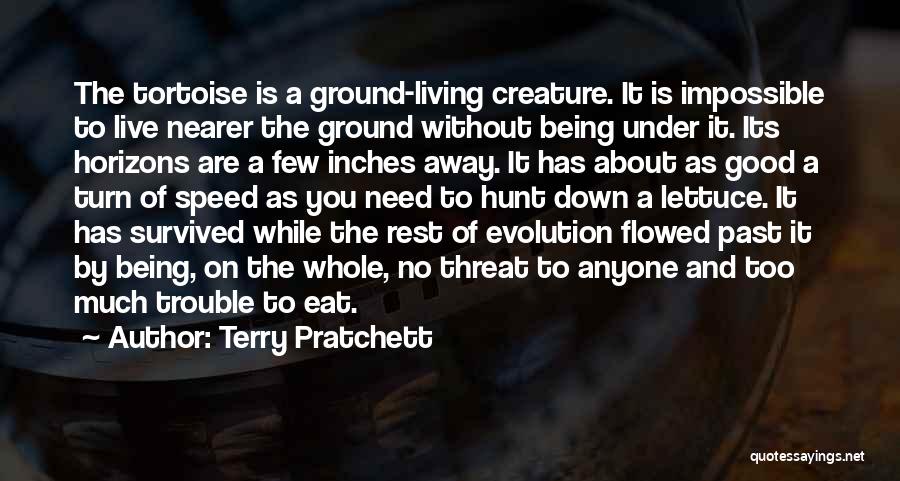 Flexion Of Hip Quotes By Terry Pratchett