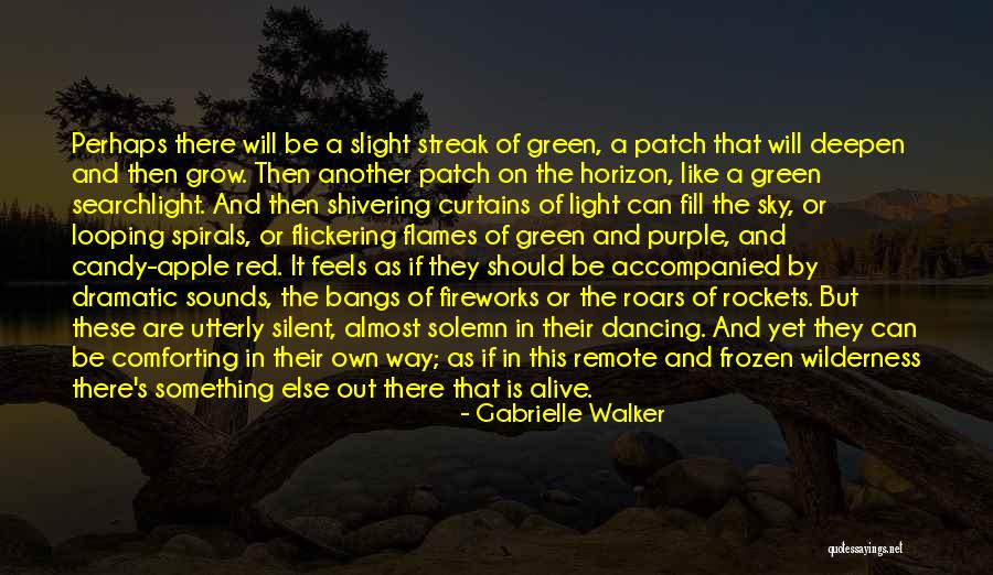 Flickering Light Quotes By Gabrielle Walker