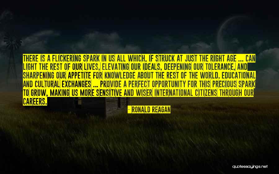 Flickering Light Quotes By Ronald Reagan