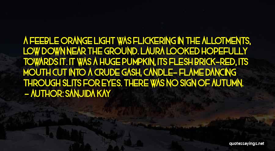 Flickering Light Quotes By Sanjida Kay