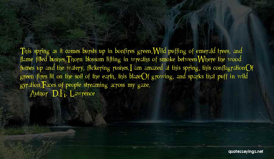 Flickering Quotes By D.H. Lawrence