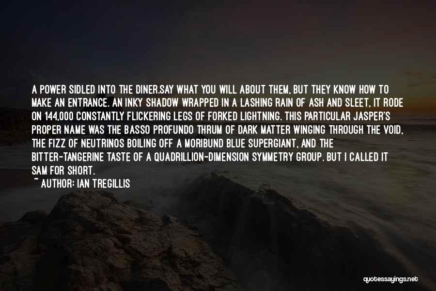 Flickering Quotes By Ian Tregillis