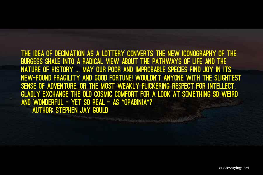Flickering Quotes By Stephen Jay Gould