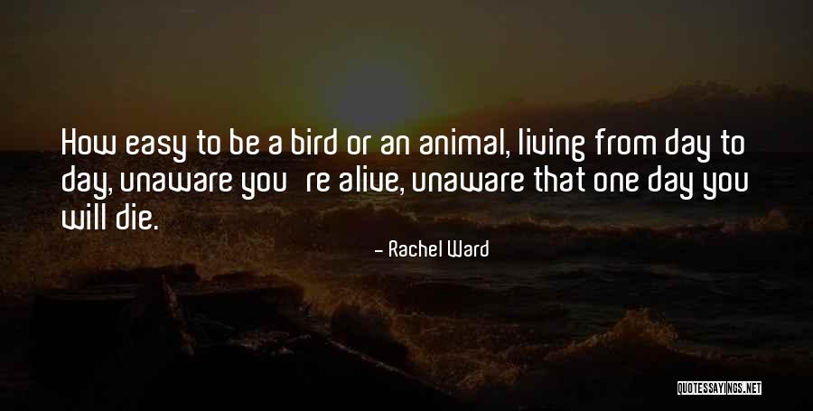 Flickr Funny Quotes By Rachel Ward Flickr Funny Quotes By Rachel Ward
