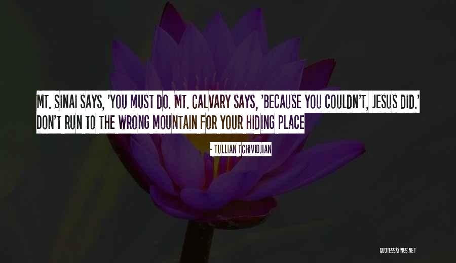 Fliegenklatsche Quotes By Tullian Tchividjian Fliegenklatsche Quotes By Tullian Tchividjian