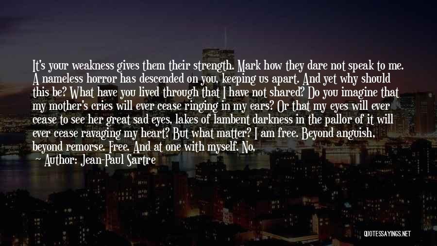 Flies In Heart Of Darkness Quotes By Jean-Paul Sartre