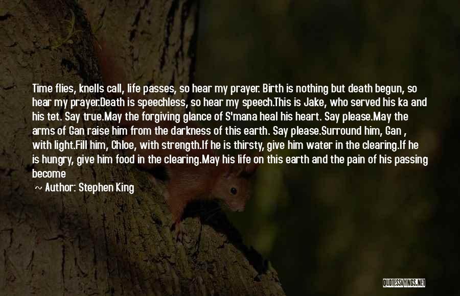 Flies In Heart Of Darkness Quotes By Stephen King