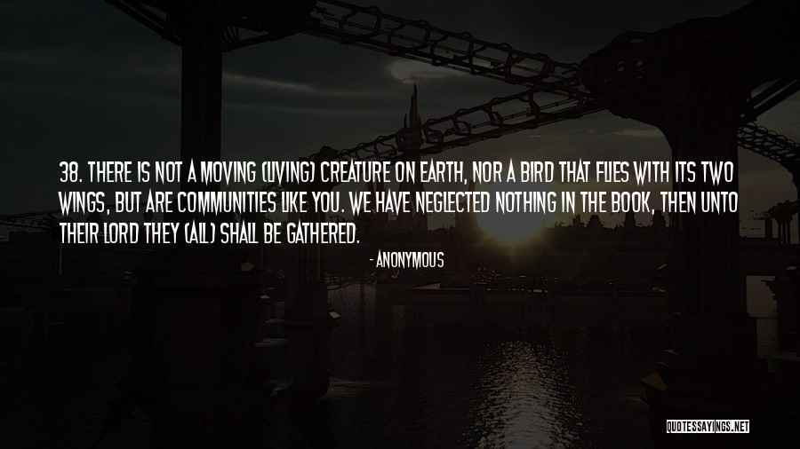 Flies In Lord Of The Flies Quotes By Anonymous Flies In Lord Of The Flies Quotes By Anonymous