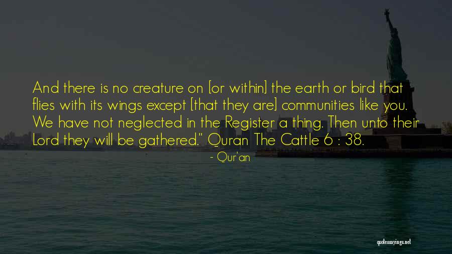 Flies In Lord Of The Flies Quotes By Qur'an Flies In Lord Of The Flies Quotes By Qur'an