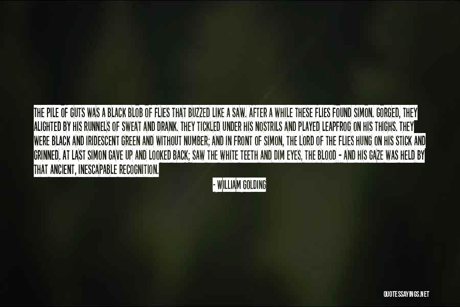 Flies In Lord Of The Flies Quotes By William Golding Flies In Lord Of The Flies Quotes By William Golding
