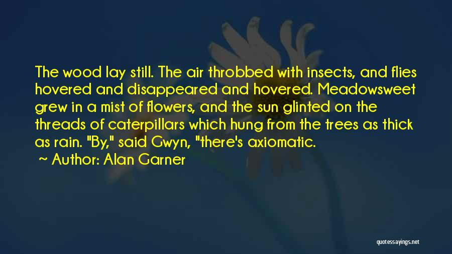 Flies Insects Quotes By Alan Garner